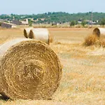 132 Finca Sa Rota De Son Ramon Etv9899 By Mallorca Charme